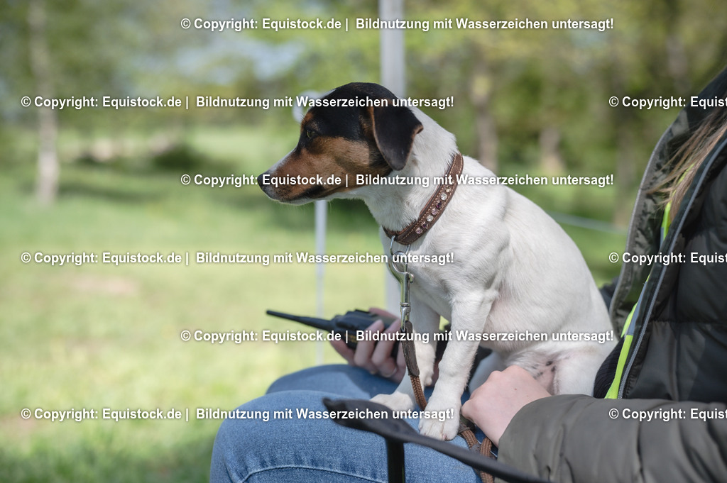 20240511_Impressionen_0068 | Foto: Thomas Hartig