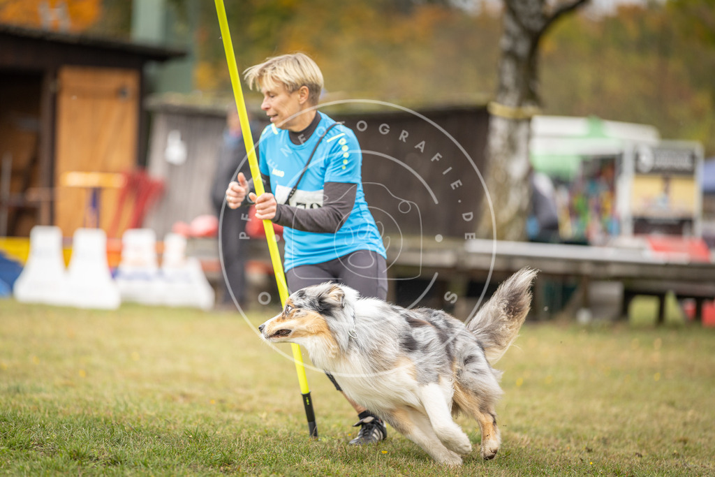 Pfotenfotografie_DV3A5444 | Hundefotografie, Tierfotograf, Pfotenfotografie, Fotoshooting Hund, Hunde Portrait, Hundesport, Hundeportraits, Heideshooting, Hunde, Sportfotograf, Hundefotograf, Turnierhundsport, THS,  - Realisiert mit Pictrs.com