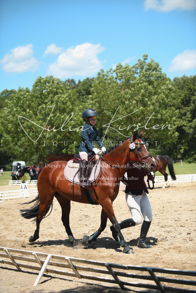 DSC_2030 | Pferde- und Turnierfotografie in Westsachsen. Pferdeportraits, Auftragszeichnungen und intuitive Kunst.