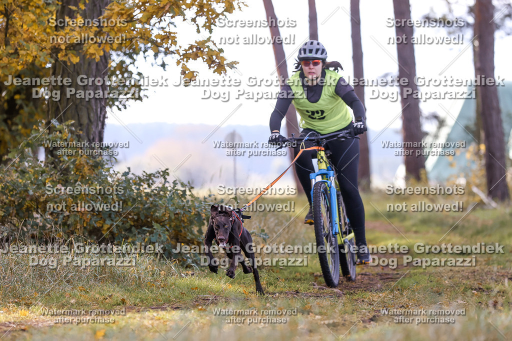 Dog Paparazzi - Elsholz 25 -105 | Dog Paparazzi Jeanette Grottendiek Fotografie & Videografie - Realisiert mit Pictrs.com