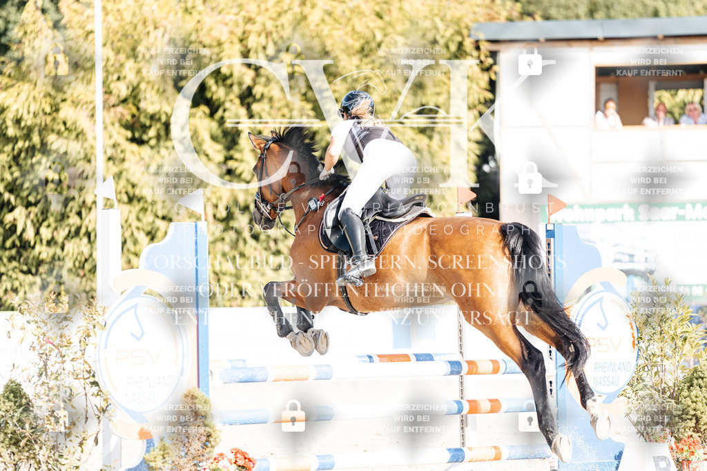 CK909490 | Turnierfotografie Pferdefotografie Trier Rheinland-Pfalz Pferdesport Reitsport Tierfotografie Sportfotografie Pferdevideo Pferdevideografie Equestrianvideography equestrianphotography  - Realisiert mit Pictrs.com