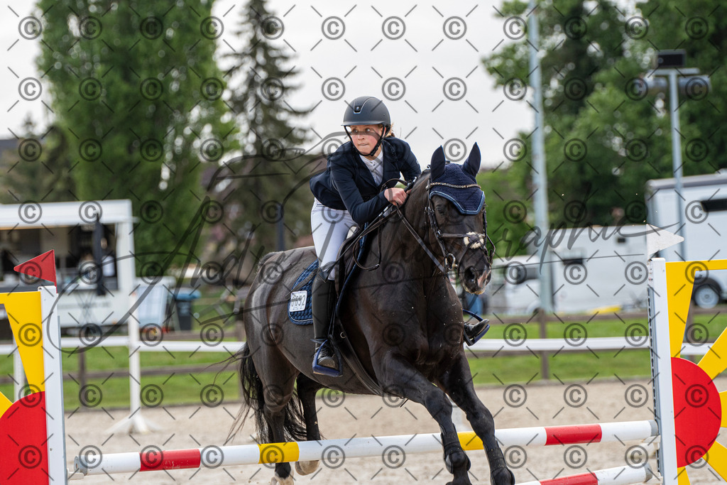 KPT_7706 | andre_photographic