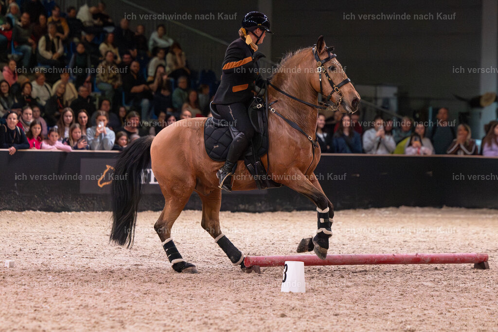 JoseraCup-209 | working equitationturnier fotograf videograf stoibphotography marixx film working equitation deutschland reitsport turnierfotografie eventfotografie equestrian events