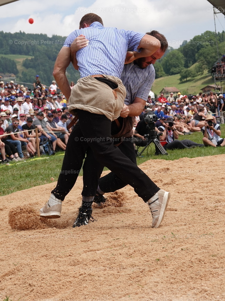 DSC04953 | Schwingen - Realisiert mit Pictrs.com