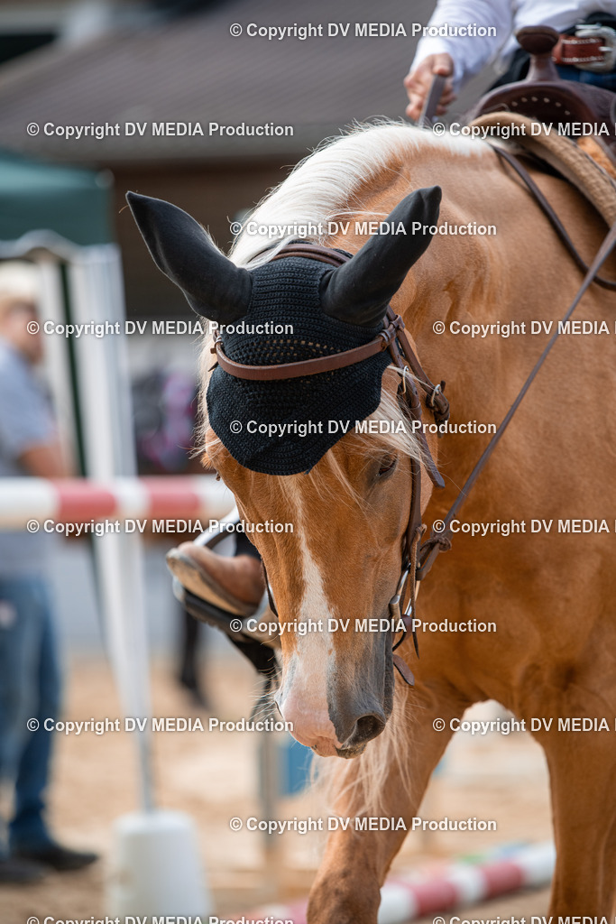 EWP_5648 | dv-media-shop - Realisiert mit Pictrs.com