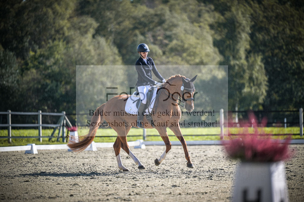 DOS_2744 | Entdecke hochwertige Reitturnierfotos von Foto Oger. Professionell, emotional und authentisch – jetzt Lieblingsmomente im Shop bestellen.Deutschlandweite Turnierfotografie. - Realisiert mit Pictrs.com