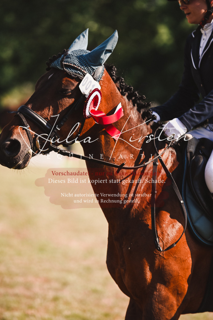 DSC_7403 | Pferde- und Turnierfotografie in Westsachsen. Pferdeportraits, Auftragszeichnungen und intuitive Kunst.