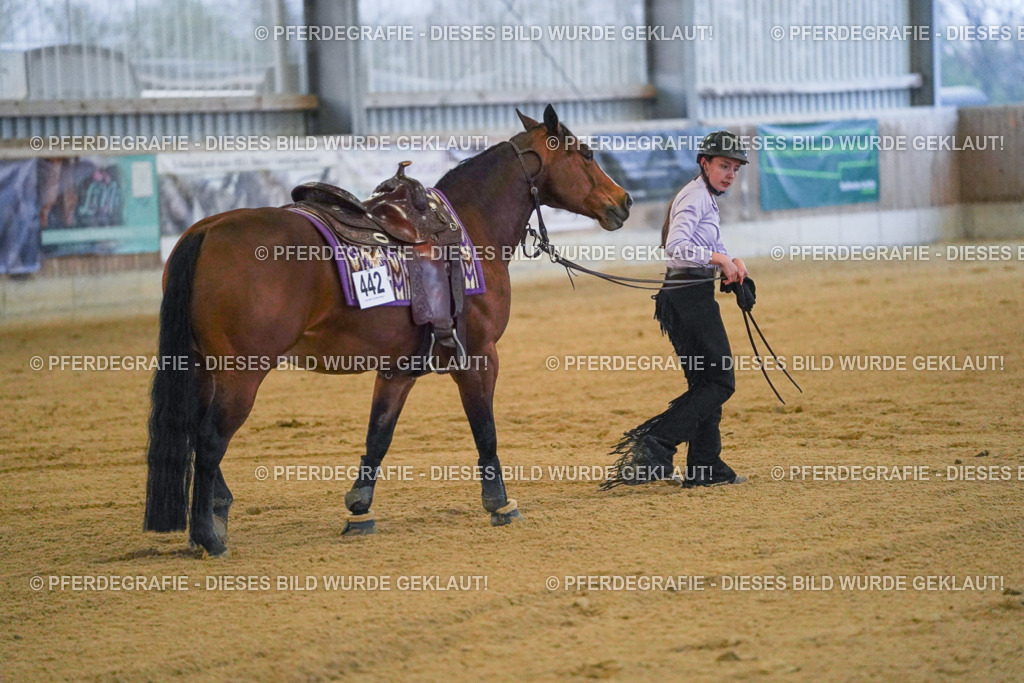 DSC09457 | Pferdegrafie