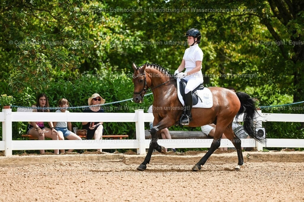 20230715_05_Dressurprüfung Kl.A++_0037 | equistock