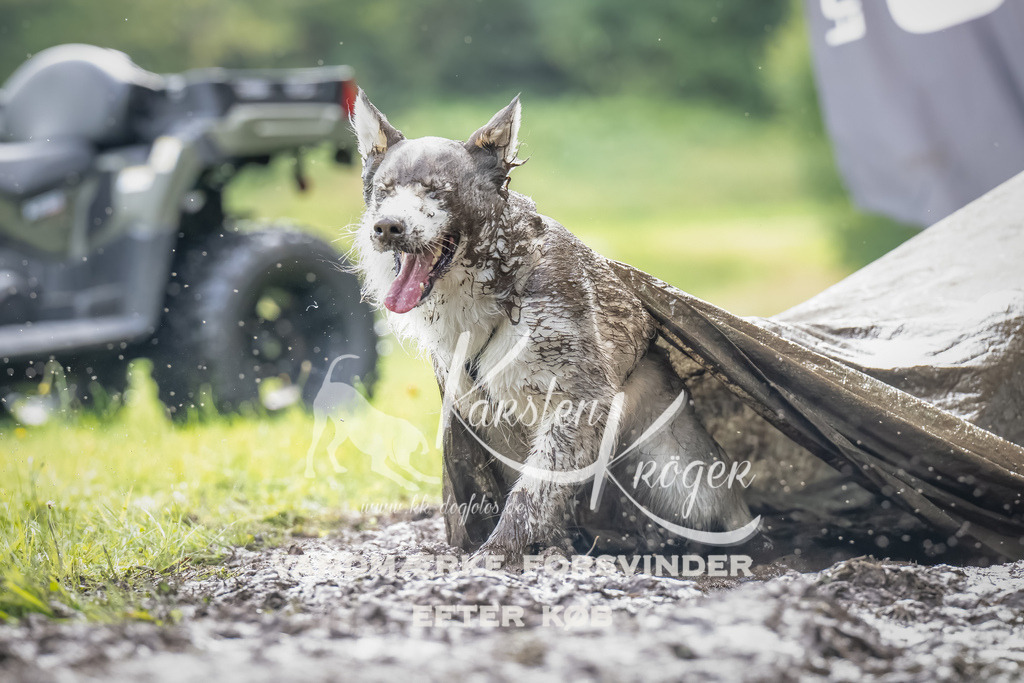0913_ZZ90449-Bearbeitet | kk-dogfotos