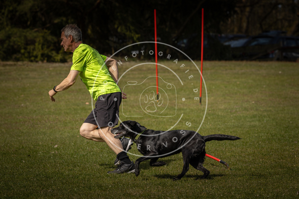 Pfotenfotografie_DV3A4130 | Hundefotografie, Tierfotograf, Pfotenfotografie, Fotoshooting Hund, Hunde Portrait, Hundesport, Hundeportraits, Heideshooting, Hunde, Sportfotograf, Hundefotograf, Turnierhundsport, THS,  - Realisiert mit Pictrs.com