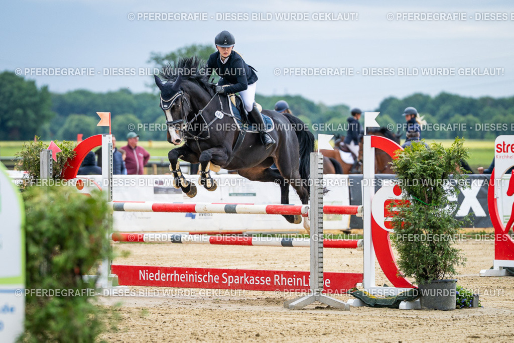 DSC04518 | Pferdegrafie