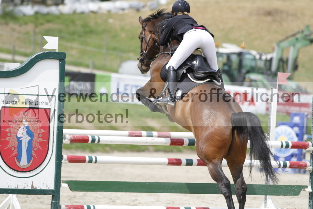 _MG_3863 | equestrian-live-com