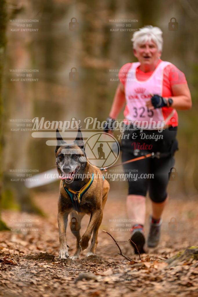 MompixPhotography_Habay2025_SA_CCC-283 | mompixphotography