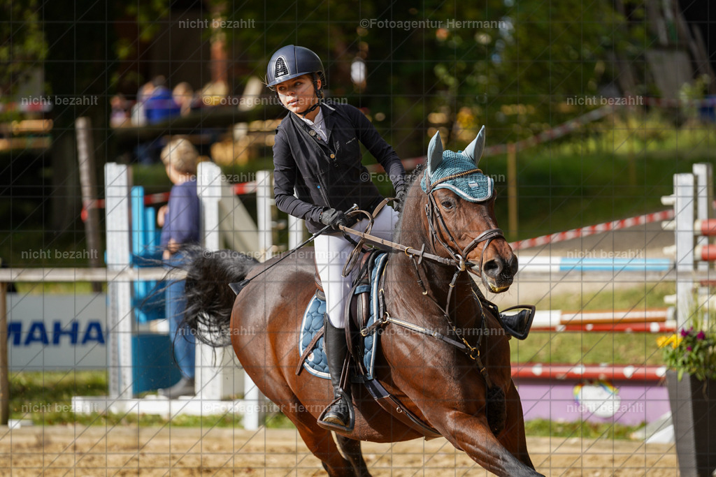 20231008-SN_01223 | Diessen am Ammersee, 2023, Dressur- und Springturnier, Reitsport, Turnierfotografie, Pferdebilder, Reitbilder, Turnierfotografen Bayern, Fotoagentur Herrmann