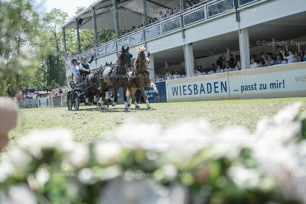 20230528_Jump-and-Drive_0252 | equistock