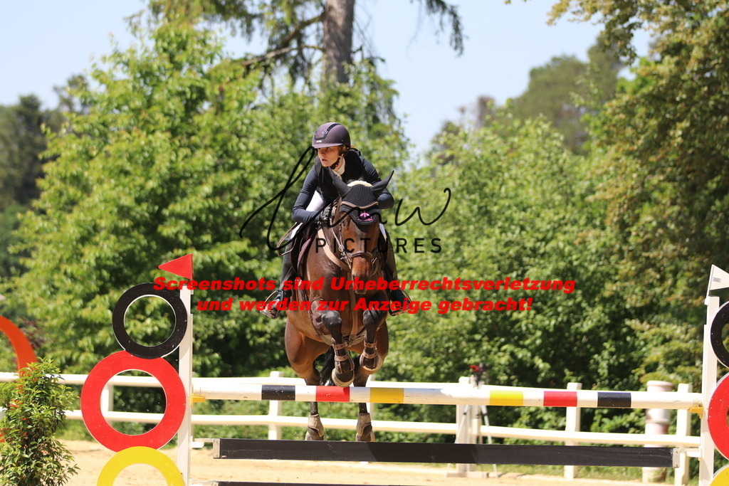 IMG_2475 | lmwpictures - Realisiert mit Pictrs.com