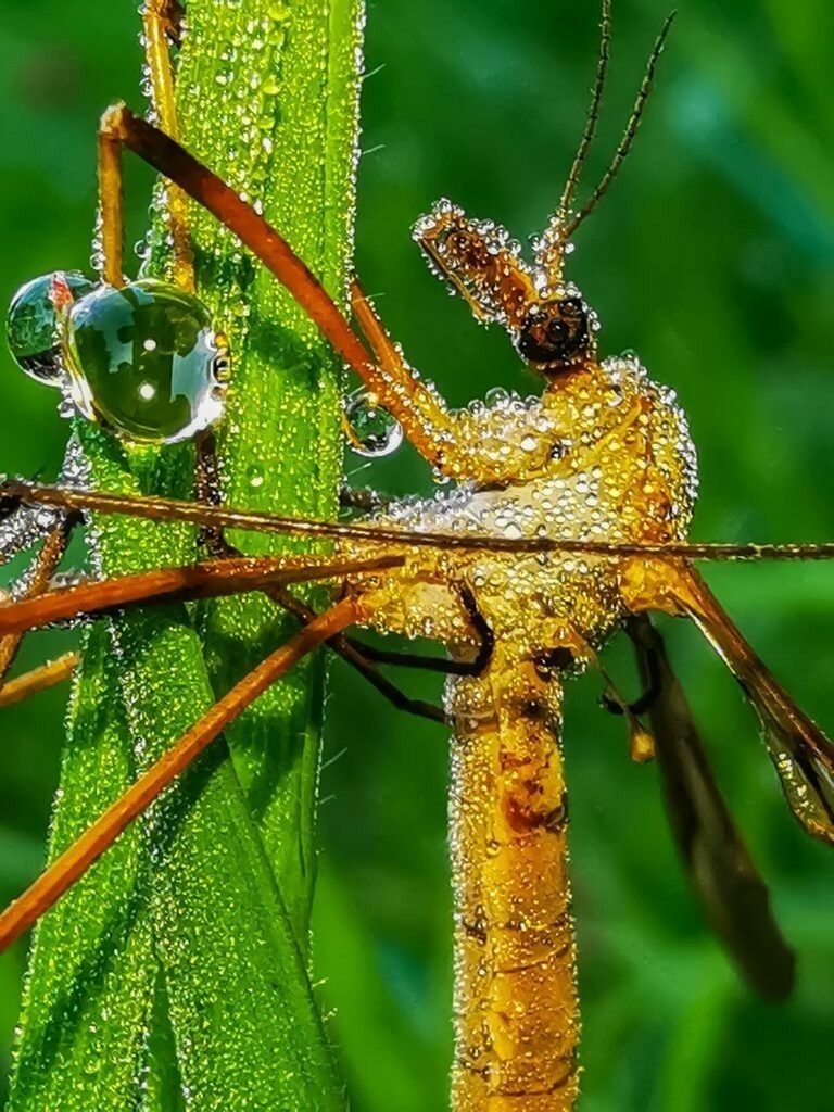 PSX_20220923_063154 | mtkfoto_ - Realisiert mit Pictrs.com