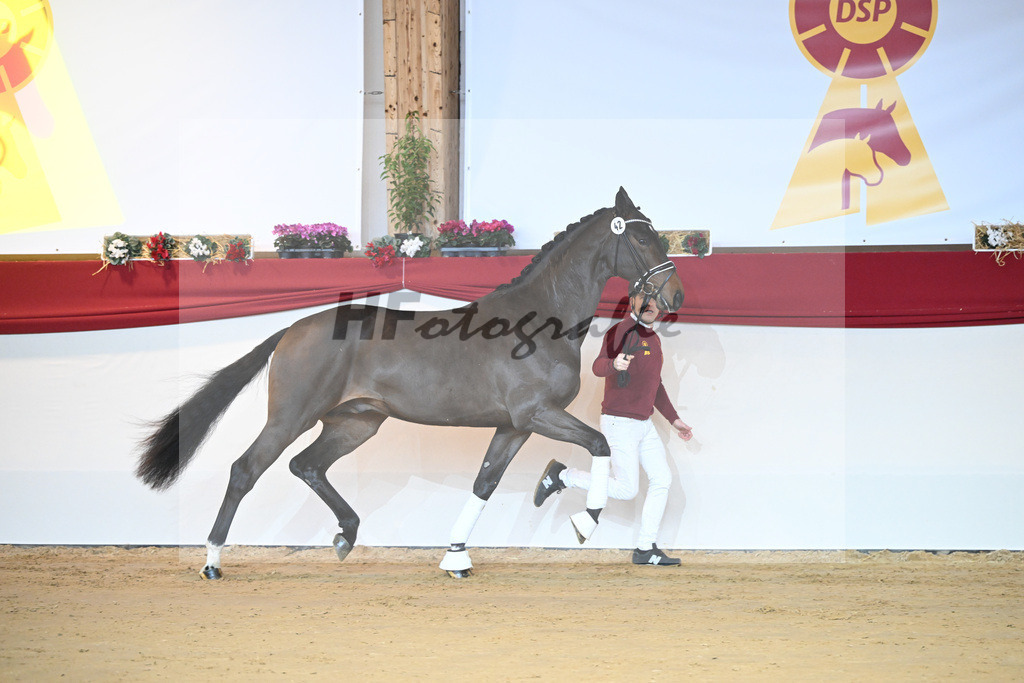 Kat-Nr. 42 De Beau_Schult_1231309 | hf-fotografie - Realisiert mit Pictrs.com