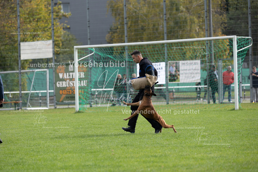 _16A7029 | Einzigartige Fotos von Hunden & Menschen –Actionfotos, Portraits, Vereinsaufnahmen & Paarshootings – authentisch, lebendig & mit Herz.