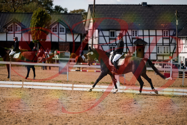 2026_10_03_Siefer-Hof_132357_Z63_86240880 | Professionelle Reitsport-, Turnier- und Eventfotografie von Robert Broda. Galerien mit ausgewählten und bearbeiteten Bildern direkt online ansehen und bestellen.