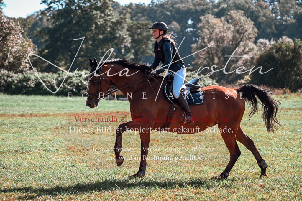 DSC_0557 | Pferde- und Turnierfotografie in Westsachsen. Pferdeportraits, Auftragszeichnungen und intuitive Kunst.