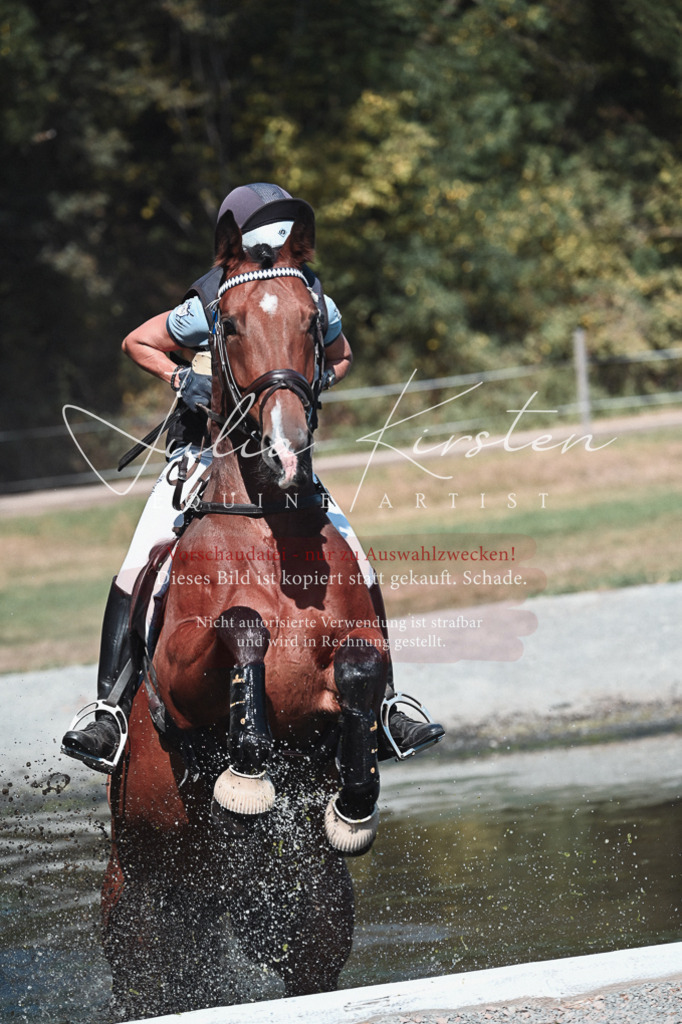 DSC_8488 | Pferde- und Turnierfotografie in Westsachsen. Pferdeportraits, Auftragszeichnungen und intuitive Kunst.