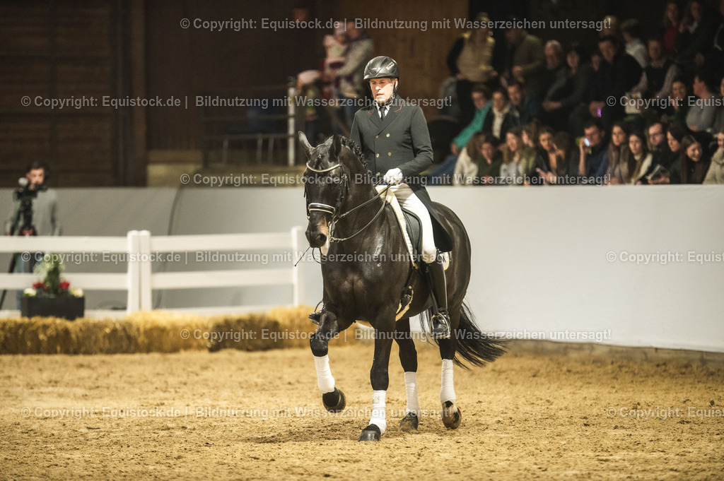 20240302_Hengstvorstellung_Marbach_TOMsPiC_1479-2 | equistock