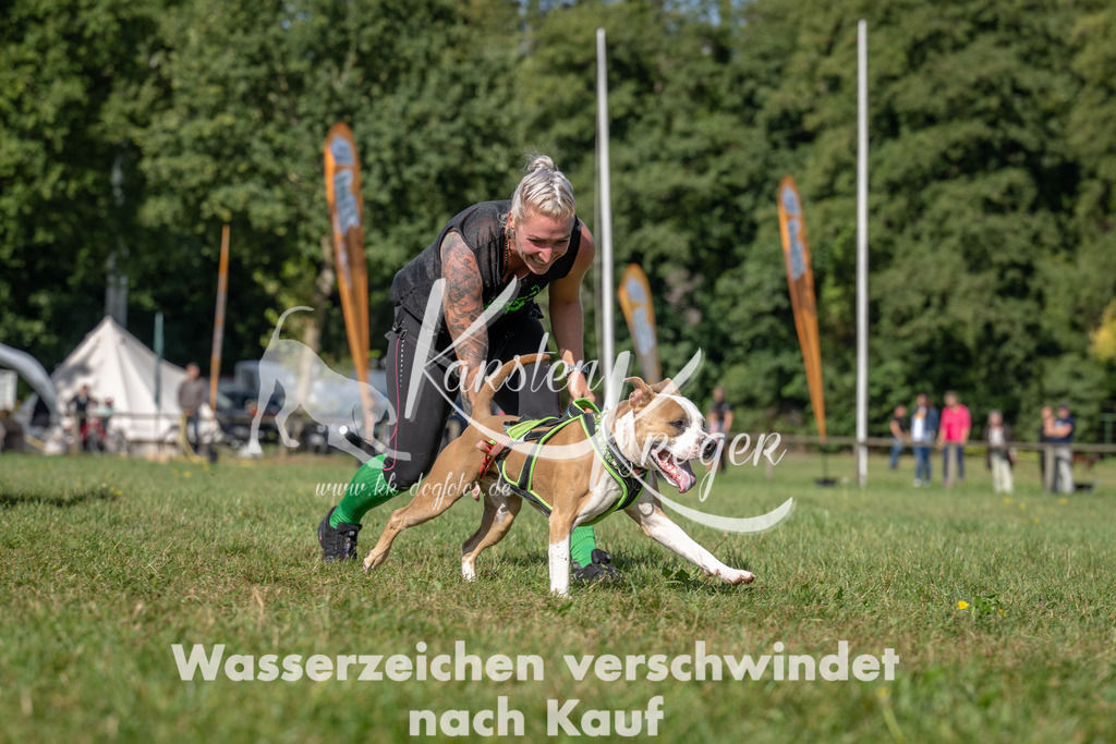 1119_ZZ94540 | kk-dogfotos
