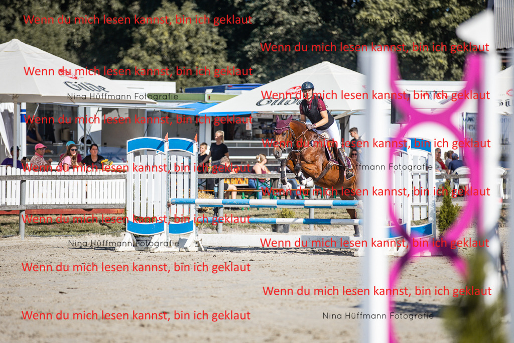 BK1A7222 | Turnierbilder Turnierfotos Nina Hüffmann Turnierfotografie Pferdefotografie Tierzeichnung Haustierzeichnung Pferdezeichnung Hundezeichnung Videograf  - Realisiert mit Pictrs.com