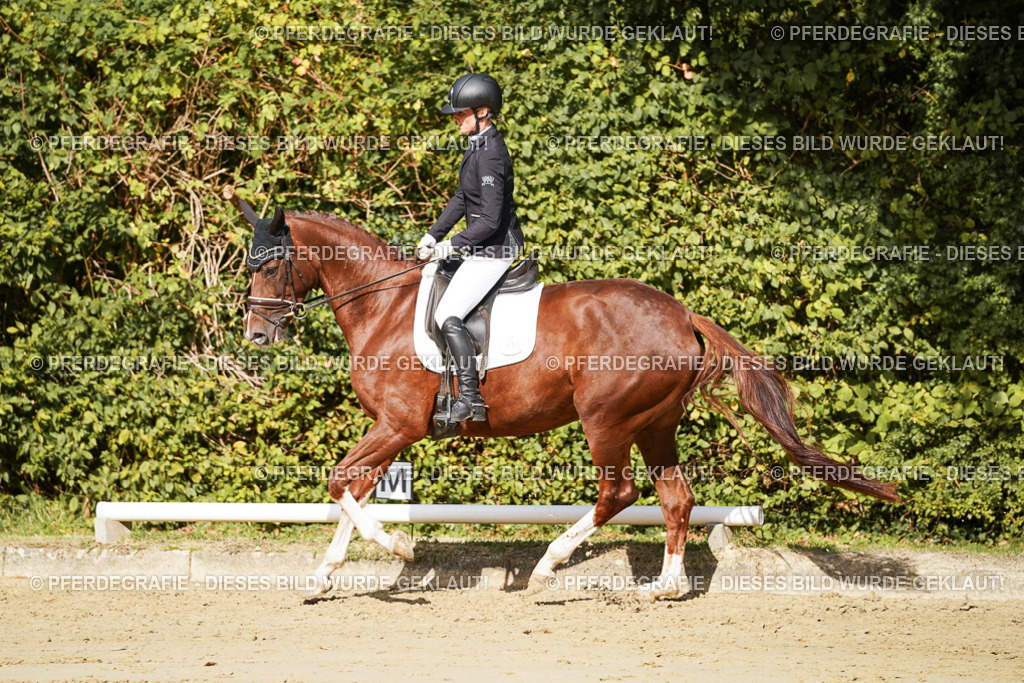 DSC08810 | Pferdegrafie