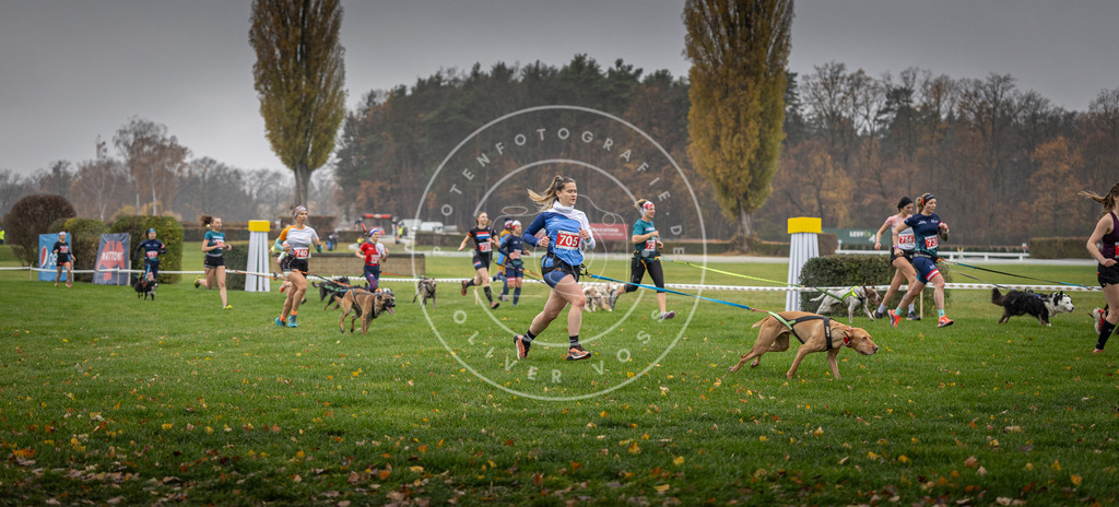 CaniXpix_DV3A8842 | Hundefotografie, Tierfotograf, Pfotenfotografie, Fotoshooting Hund, Hunde Portrait, Hundesport, Hundeportraits, Heideshooting, Hunde, Sportfotograf, Hundefotograf, Turnierhundsport, THS,  - Realisiert mit Pictrs.com