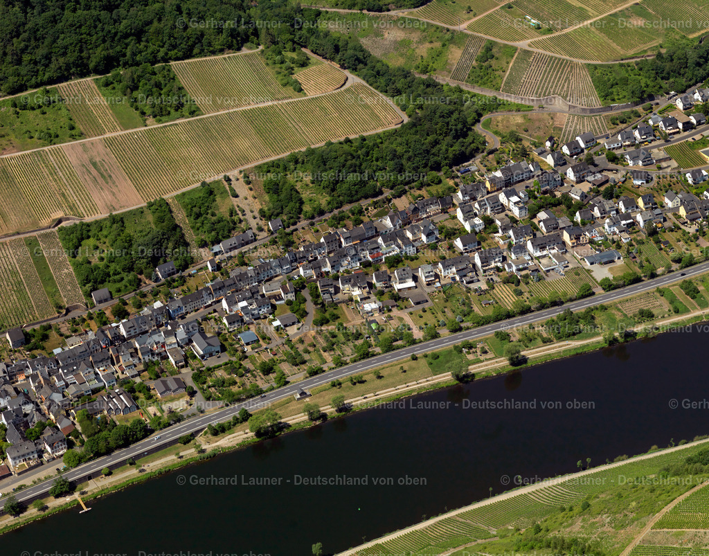 Briedel-3114429 | Briedel