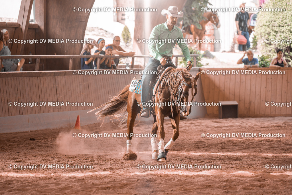 NE300785 | dv-media-shop - Realisiert mit Pictrs.com