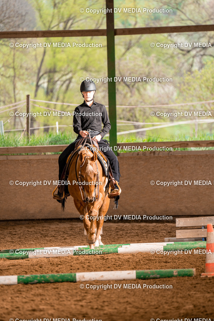 BA300326 | dv-media-shop - Realisiert mit Pictrs.com