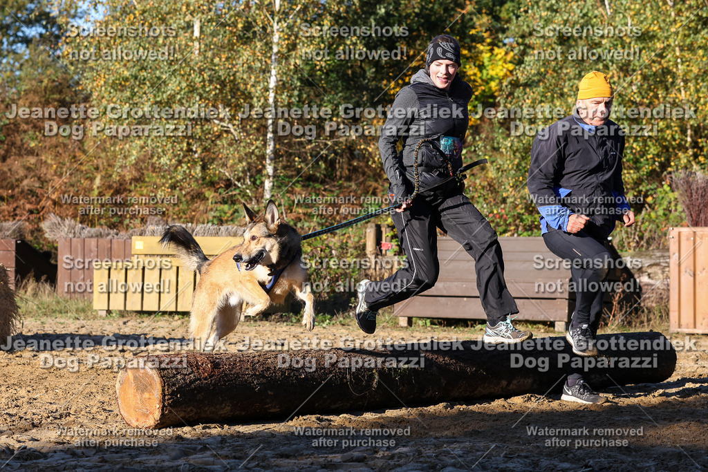 Dog Paparazzi - Strongdog 10-25-1333 | Dog Paparazzi Jeanette Grottendiek Fotografie & Videografie - Realisiert mit Pictrs.com