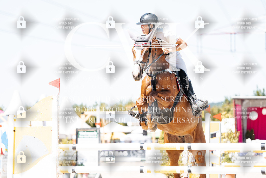 CK900083 | Turnierfotografie Pferdefotografie Trier Rheinland-Pfalz Pferdesport Reitsport Tierfotografie Sportfotografie Pferdevideo Pferdevideografie Equestrianvideography equestrianphotography  - Realisiert mit Pictrs.com