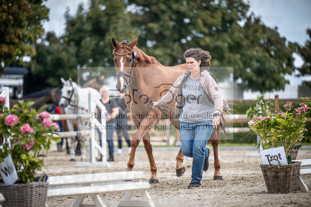 DOS_2185 | Entdecke hochwertige Reitturnierfotos von Foto Oger. Professionell, emotional und authentisch – jetzt Lieblingsmomente im Shop bestellen.Deutschlandweite Turnierfotografie. - Realisiert mit Pictrs.com