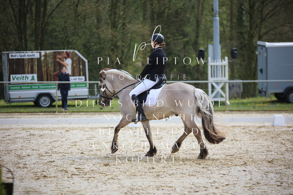 IMGT3277 | pl-fotografie