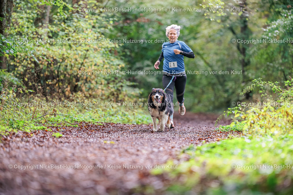 THS-HSV-Blumenthal-2026-Nickbest-Hundefotografie-0433 | Dein Hund! Dein Moment! Deine Erinnerungen! Hundefotografie in Bremen Blumenthal. Ich fange die besonderen Momente deines Vierbeiners ein – ob Indoor mit Blitzanlage oder in der freien Natur. Sicher dir dein Moment und dein Termin für eure Erinnerungen.