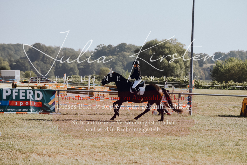 DSC_5737 | Pferde- und Turnierfotografie in Westsachsen. Pferdeportraits, Auftragszeichnungen und intuitive Kunst.