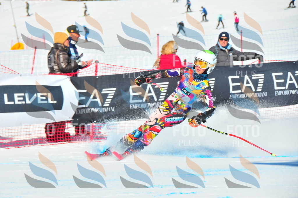 DSC_3717 | holidayphoto