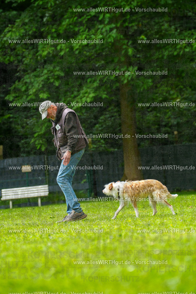 @allesWIRTHgut_Tierfotografie - www.allesWIRTHgut.de - 7R501321 | Professionelle Tierfotografie in Mönchengladbach von Daniel Wirth (allesWIRTHgut). Liebevolle & natürliche Bilder von Hunden & Katzen für unvergessliche Erinnerungen.
