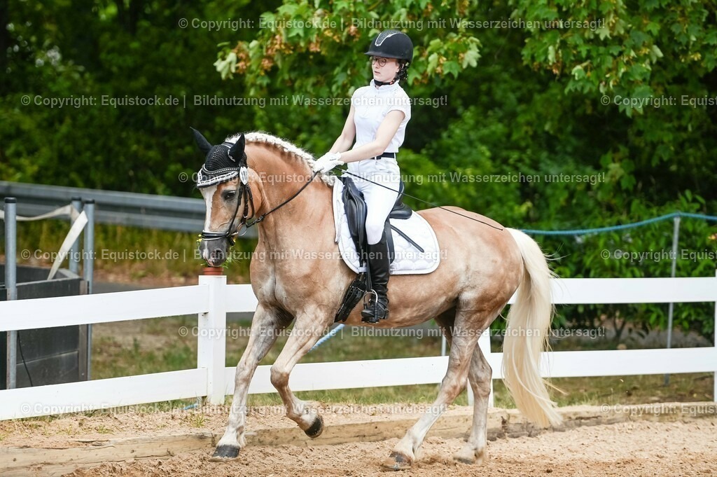 20230715_05_Dressurprüfung Kl.A++_0108 | equistock