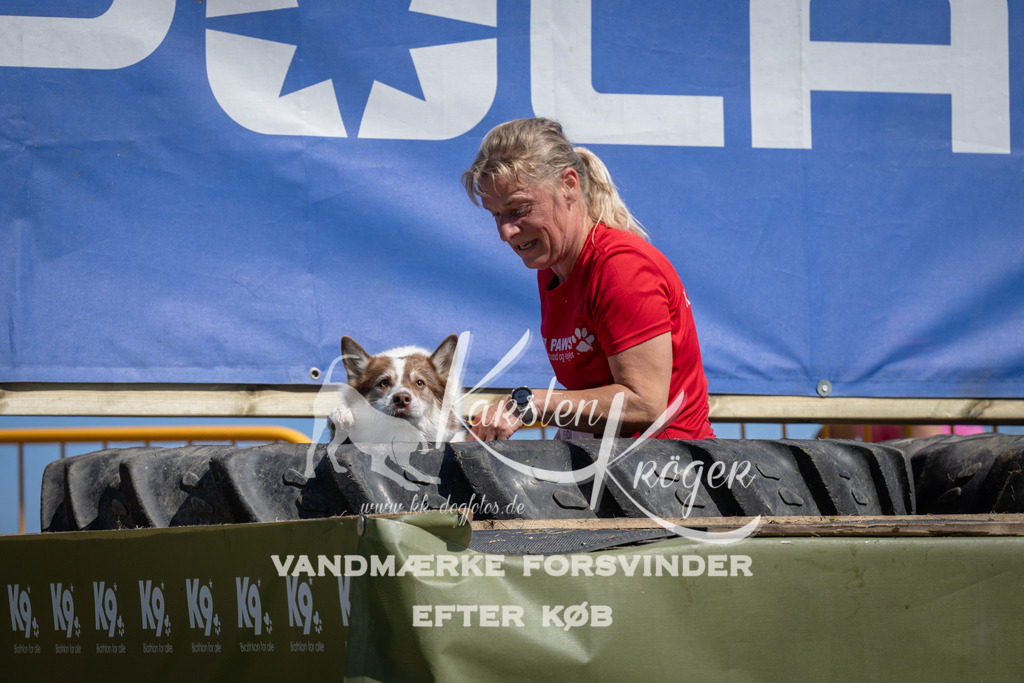 1210_ZZ94306 | kk-dogfotos