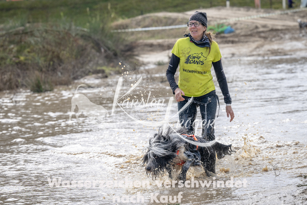 1133_ZZ94095 | kk-dogfotos