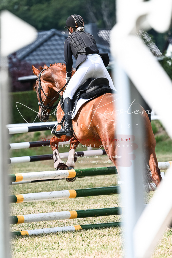 DSC_8999 | Pferde- und Turnierfotografie in Westsachsen. Pferdeportraits, Auftragszeichnungen und intuitive Kunst.