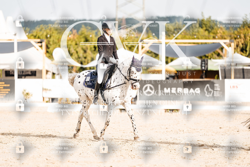 CK904358 | Turnierfotografie Pferdefotografie Trier Rheinland-Pfalz Pferdesport Reitsport Tierfotografie Sportfotografie Pferdevideo Pferdevideografie Equestrianvideography equestrianphotography  - Realisiert mit Pictrs.com