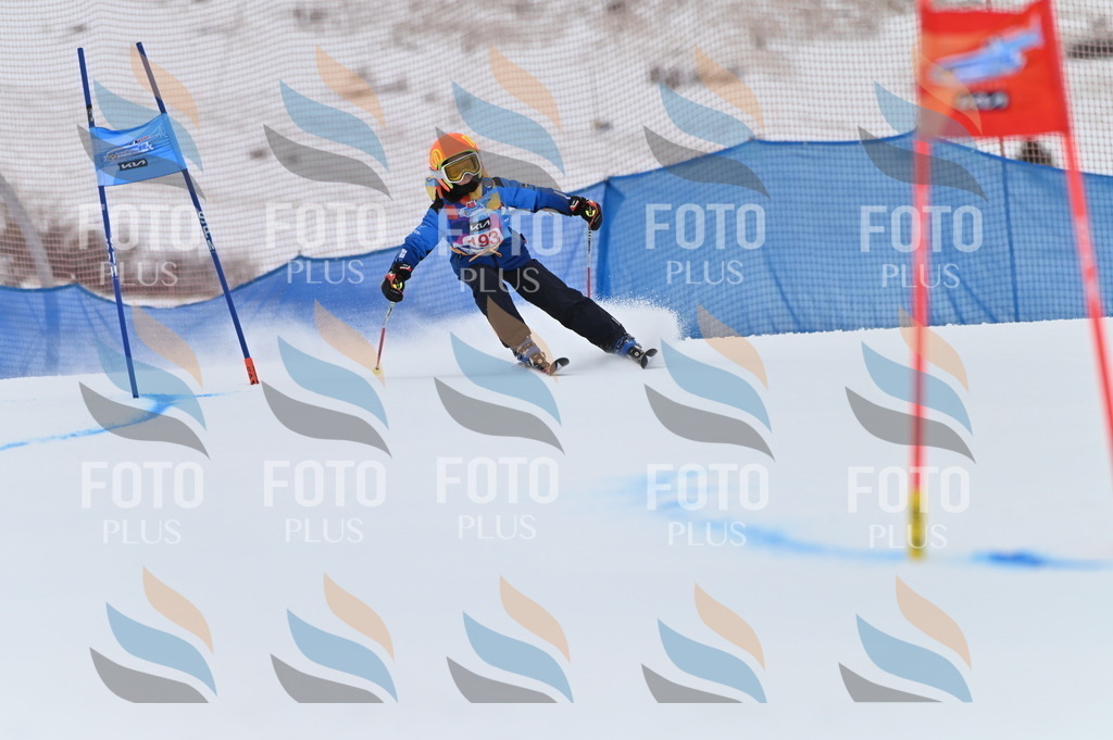 BGV_1567 | holidayphoto