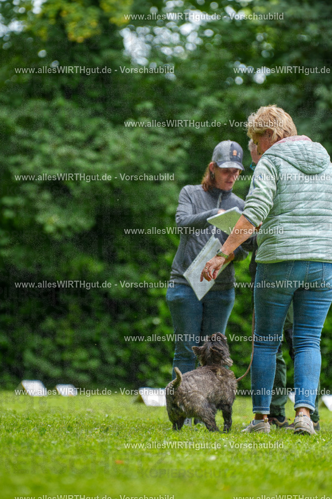@allesWIRTHgut_Tierfotografie - www.allesWIRTHgut.de - 7R504514 | Professionelle Tierfotografie in Mönchengladbach von Daniel Wirth (allesWIRTHgut). Liebevolle & natürliche Bilder von Hunden & Katzen für unvergessliche Erinnerungen.
